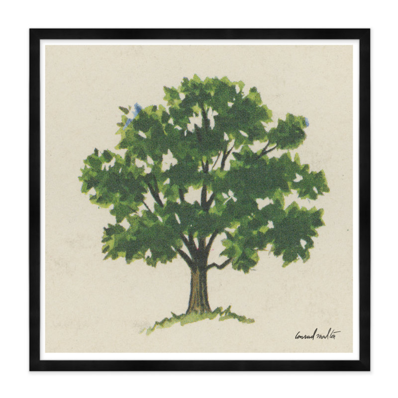 Oak Tree Print, Black