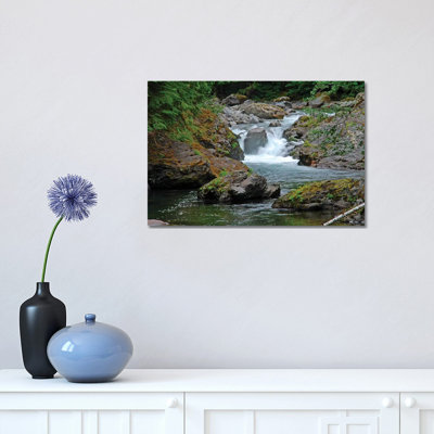 Salmon Cascades by Brian Wolf - Wrapped Canvas Print
