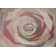 Vera Modern Cheery Blossom Area Rug
