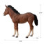  Standing Horse (Hi-Line Exclusive)