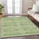 Chalee Southwestern Indoor Rug