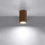 Flush Mount