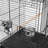 Revilla 60'' Iron Play Top Floor Bird Cage with Wheels