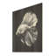 Golden Glint and Graphite A Butterflyfiish - Art mural en bois poisson-papillon sur bois de pin naturel-855962094