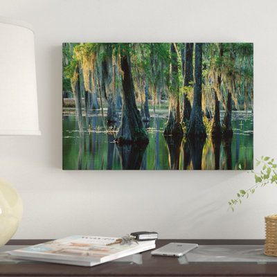" Bald Cypress Swamp, Sam Houston Jones State Park, Louisiana " by Tim Fitzharris