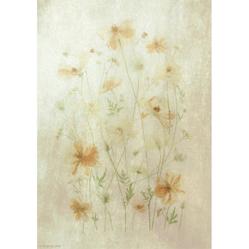 Wrapped Canvas Print, 50.8cm H x 76.2cm W