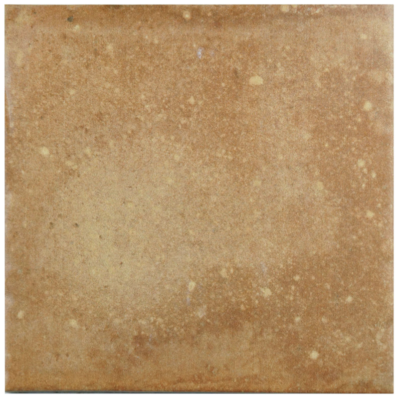 Americana Boston 9" x 9" Porcelain Stone Look Wall & Floor Tile, Light Tawny