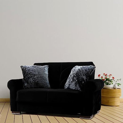 Iliyanka Fabric Convertible Sleeper Loveseat