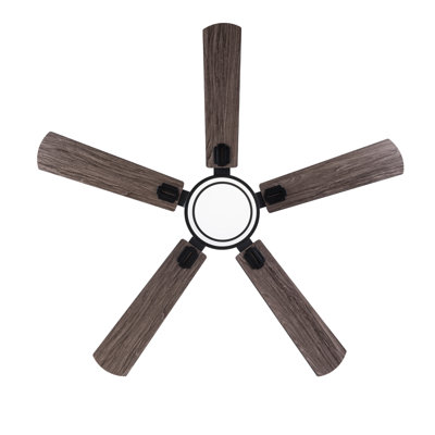 52" Dimmable Ceiling Fan with Lights and Remote Control 3CCT Reversible DC Motor Timer Memory