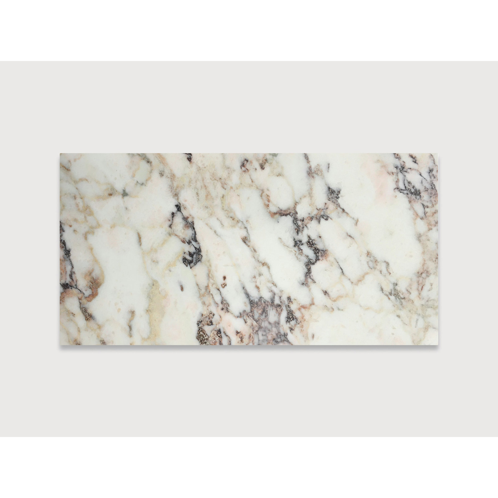 Calacatta Violet 12" x 24" Honed
