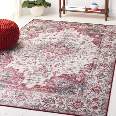 Tucson Performance Machine Washable Oriental Rug