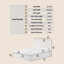 Ottoman Storage Bed, Sturdy Wooden Slats, with Gas Lift Storage, No Box Spring Required, Simple Assembly, 10 Year Warranty, Beige-163097144