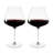 Spiegelau Definition Burgundy Glasses-61697578