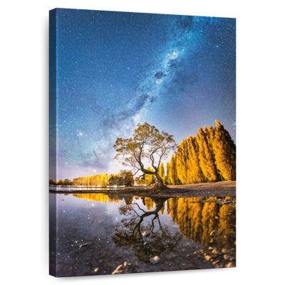 Voie lactée Oberle sur un arbre Wanaka