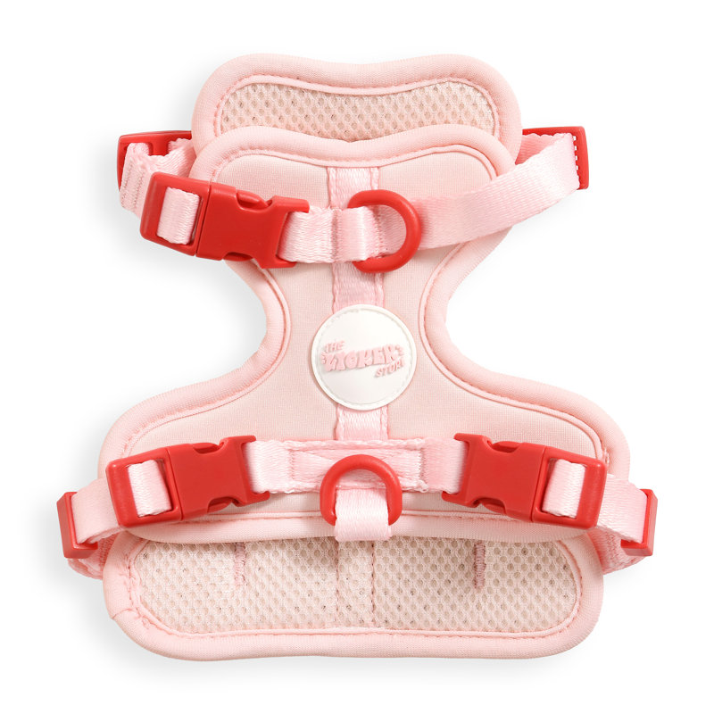 Harnais pour animal de compagnie Arlo, Rose