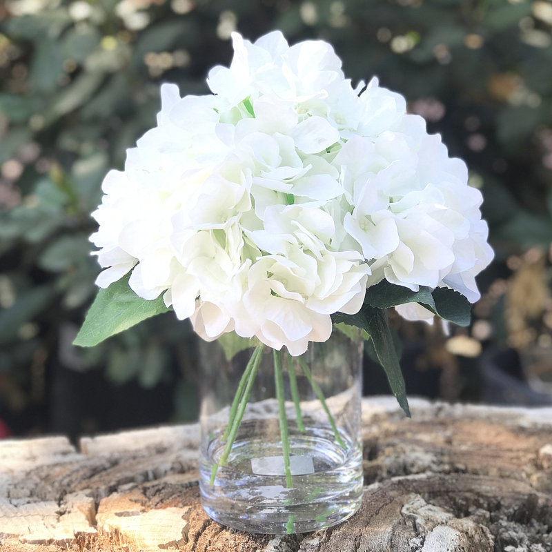 Arrangement de hortensia en vase, Crème