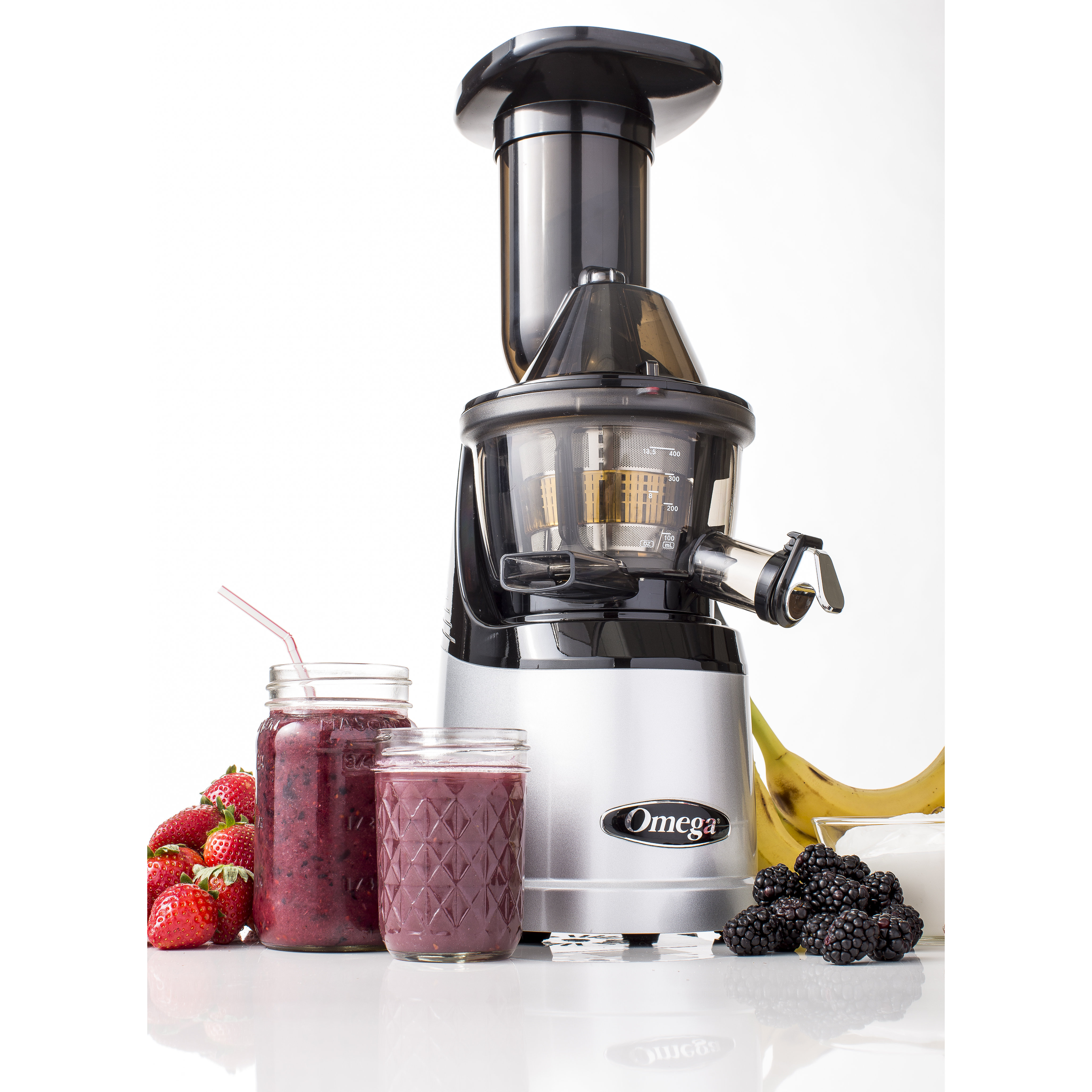 Omega MegaMouth Compact Masticating Vertical Juicer & Reviews Wayfair