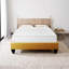Matelas à ressorts ensachés pleine grandeur 9 pouces dans une boîte avec technologie de réduction de pression et de transfert de mouvement bas, blanc-2023672464