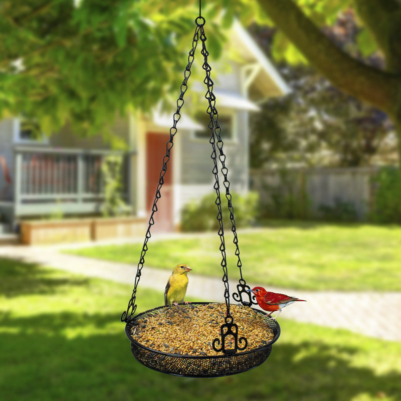 Mangeoire à oiseaux en métal