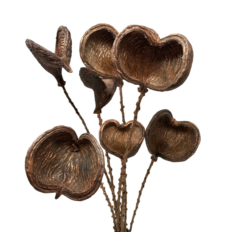 Farallones Arrangement