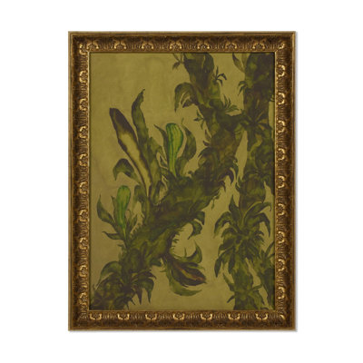 Epiphytes By Molly Franken