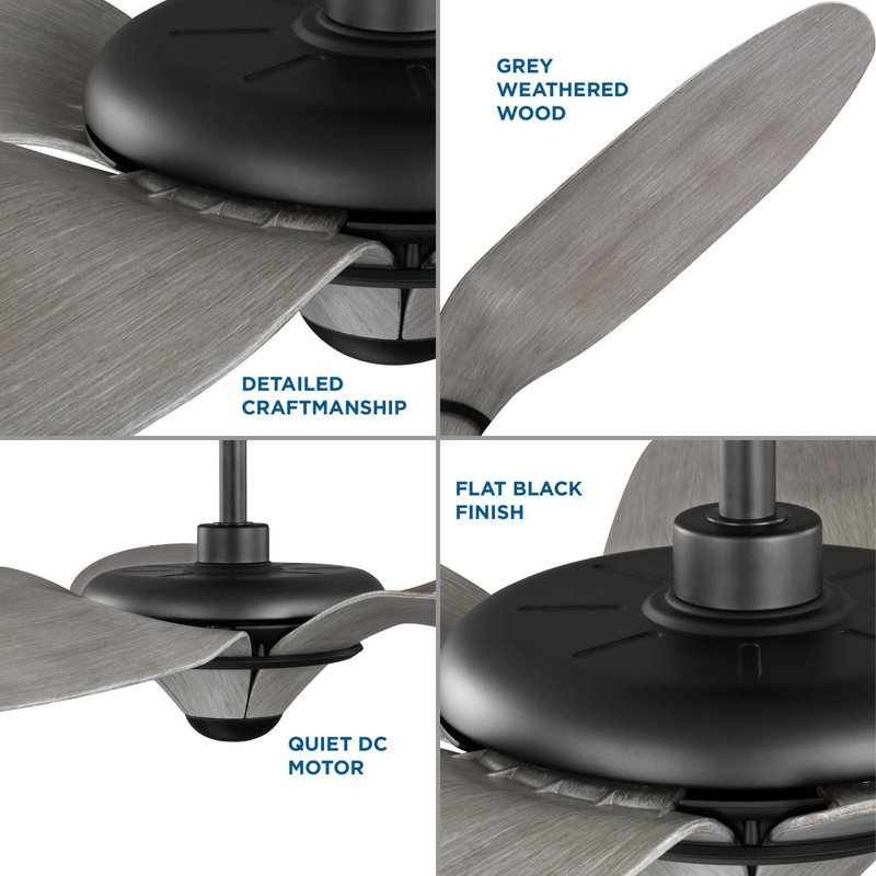 Mesilla 60'' Ceiling Fan, Flat Black