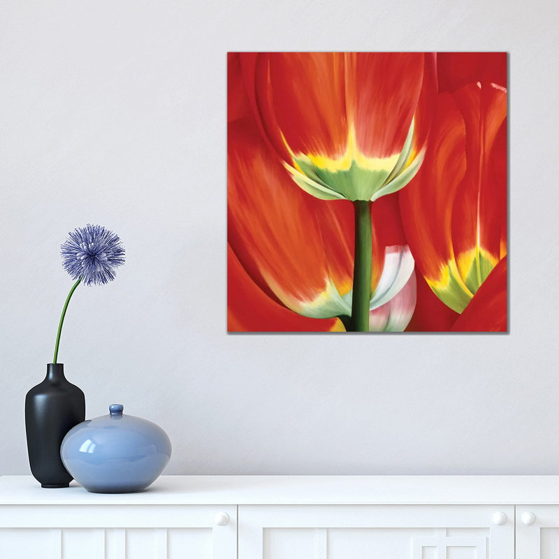 Most Beautiful Tulip I by Yvonne Poelstra-Holzhaus - Wrapped Canvas Gallery-Wrapped Canvas Giclée, 45.72 cm H x 45.72 cm W