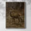 «Vintage Animal Print», reproduction encadrée LVII - bois massif-1819608767