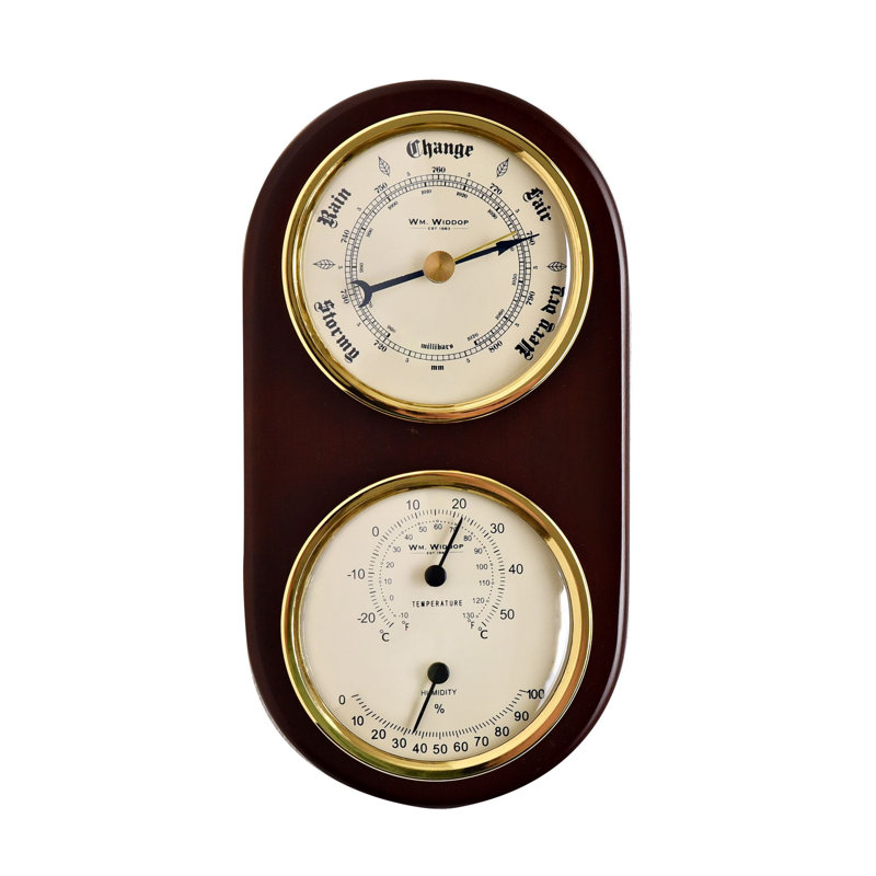 19cm Weather Station