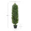 Faux cèdre arbre topiaire UV en pot-1733447818