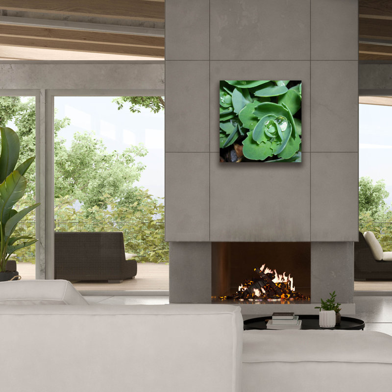 «Succulence 2» par Alicia Ludwig, art mural sur toile, H 26 po x l 26 po x P 1,5 po