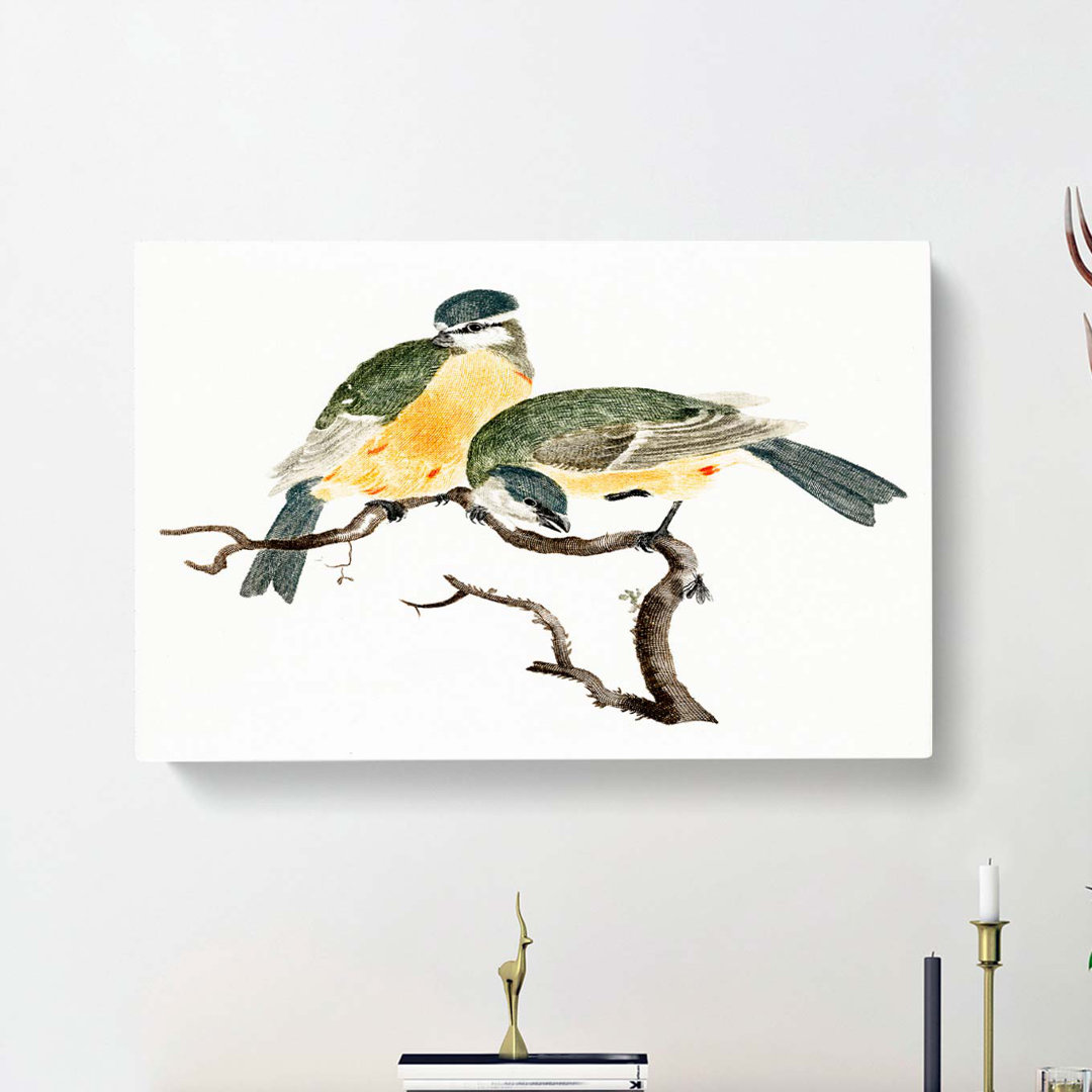 Great Tit Birds by Johan Teyler - Wrapped Canvas
