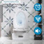 Une toilette, chasse double 1,1 / 1,6, céramique blanche brillante, siège à fermeture en douceur, chasse d'eau pour salle de bain blanche, cuve allongée, fermeture,