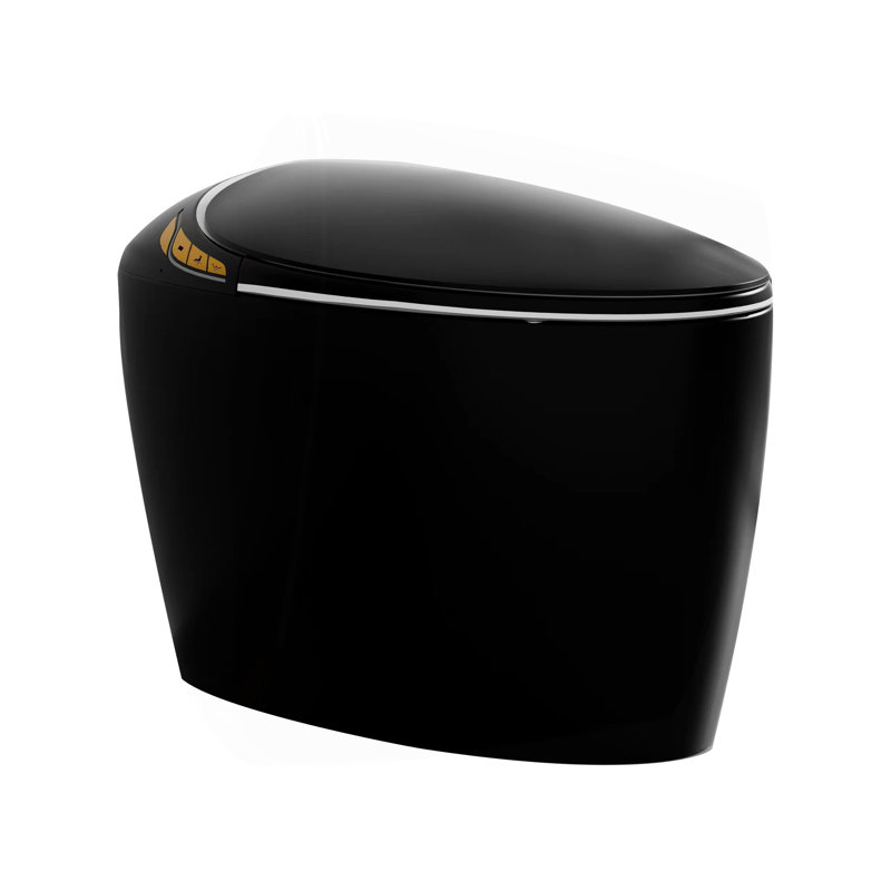 Unique Smart Toilet With Bidet Built In, Black
