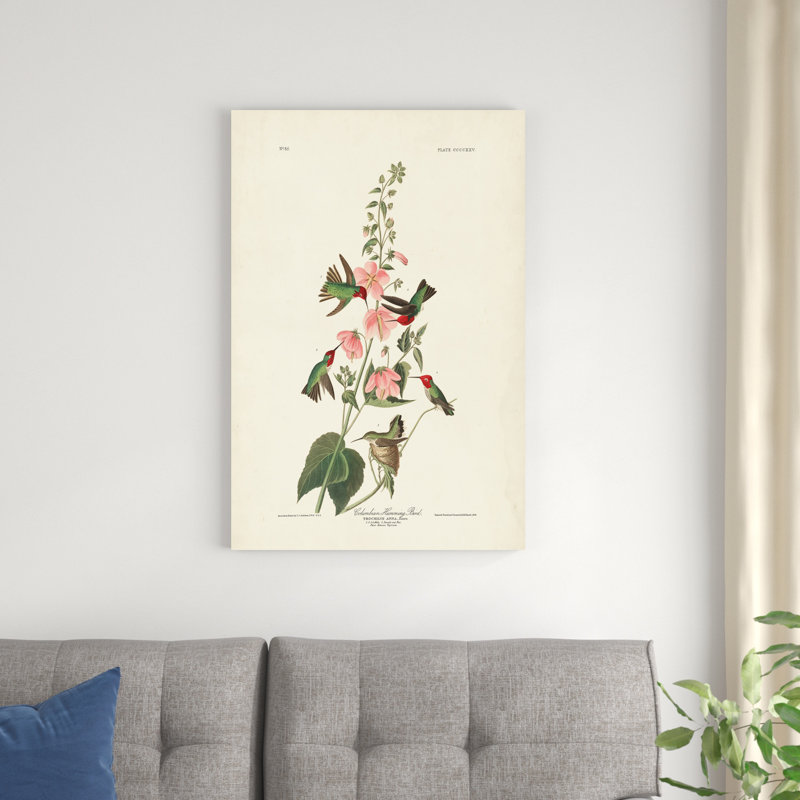 PL 425 colibri colombien, H 36 po x l 24 po