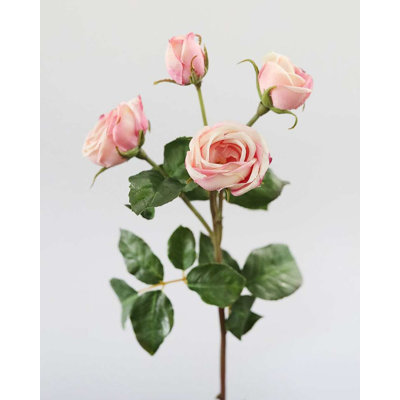 Rose Real Touch 23 po
