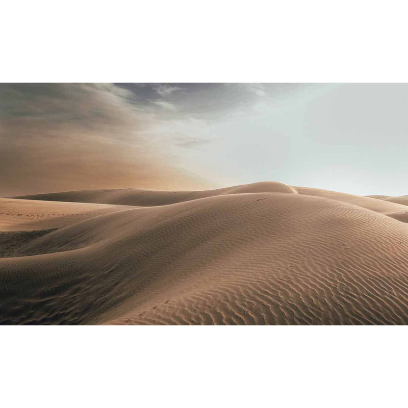 Art Of Nature 025 - No Frame Print on Metal