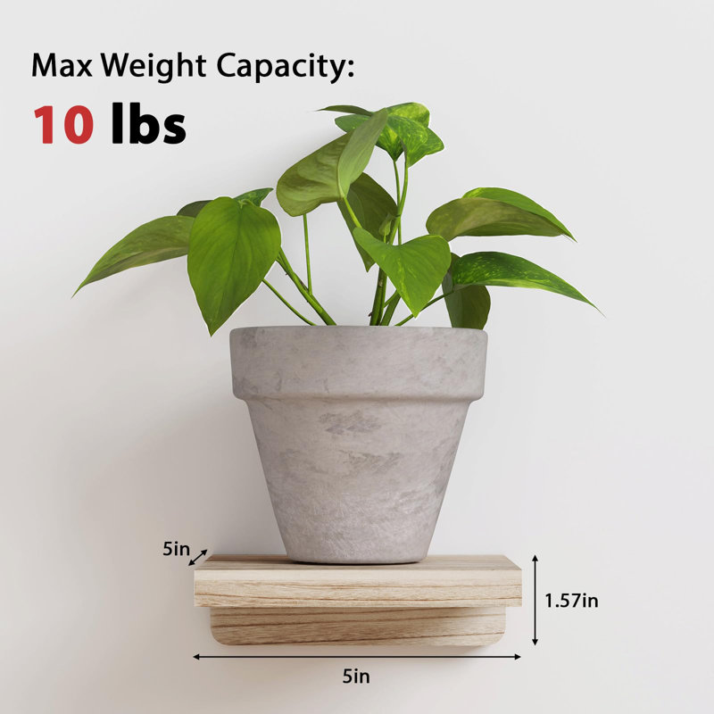 Ottava Square Paulownia Floating Shelf, Carbonized Black