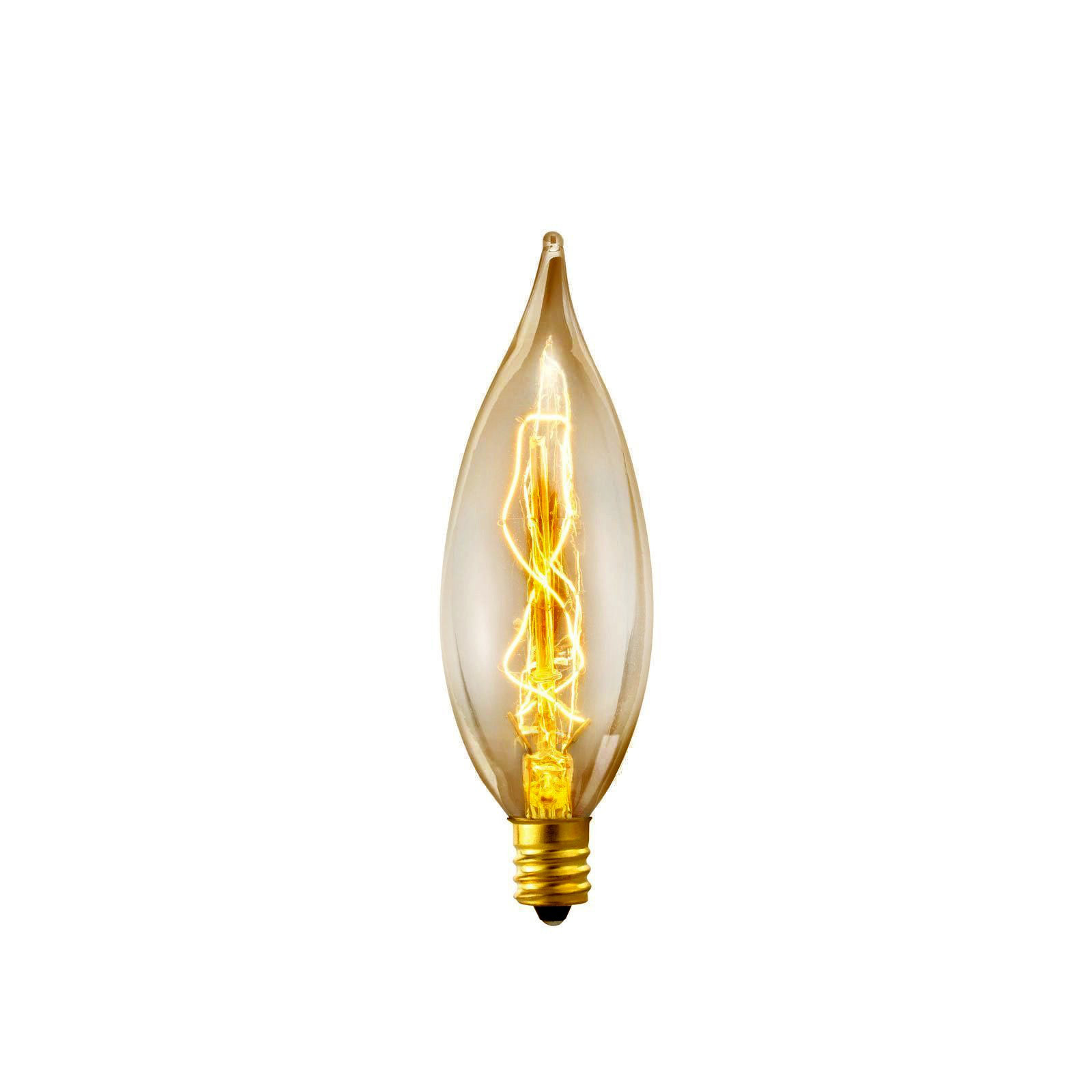 25 Watt Dimmable Clear Bulb