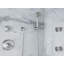 Bellis® Thermostatic Trim, Cross Handle-29488143
