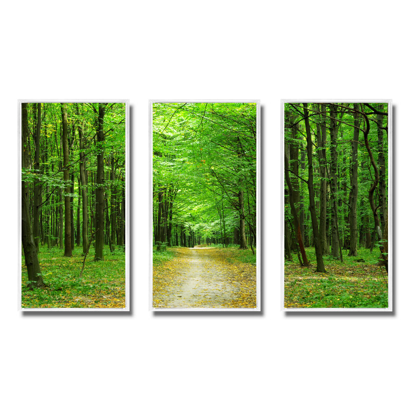«Pathway In Green Forest», ensemble d'art mural sur toile encadré paysage, H 28 po x l 36 po, Blanc