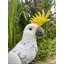 Parrot Metal Garden Statue