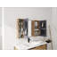 Armoire de toilette murale avec tablettes réglables et rangement spacieux, parfaite pour les salles de bain modernes et efficaces.
