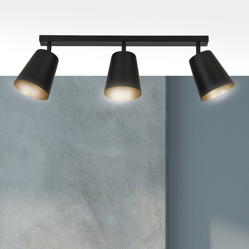 Mattie Spotlight, Black Gold
