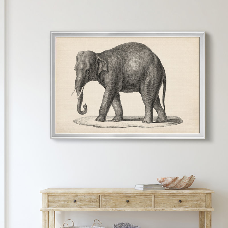 Brodtmann éléphant - cadre photo, reproduction d'art sur toile, H 30,5 po x l 42,5 po x P 1,5 po, Argent