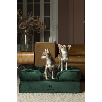 Noah & Paw Giant Dog Bed XXL,  Orthopedic Dog Beds, Eggshell Memory Foam Infused with Cooling Gel, Inner Cover, Waterproof, Machine Washable (Velvet Sofa Collection)