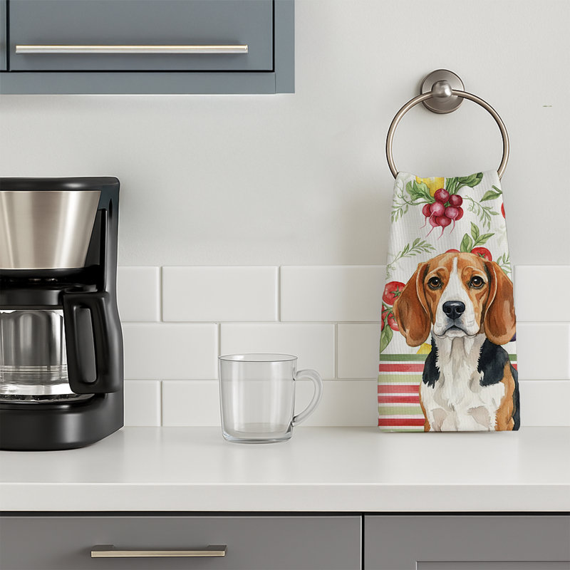 Torchon Beagle, Beagle
