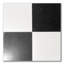 Thassos White Marble 12 in. x 12 in. Marble Tile