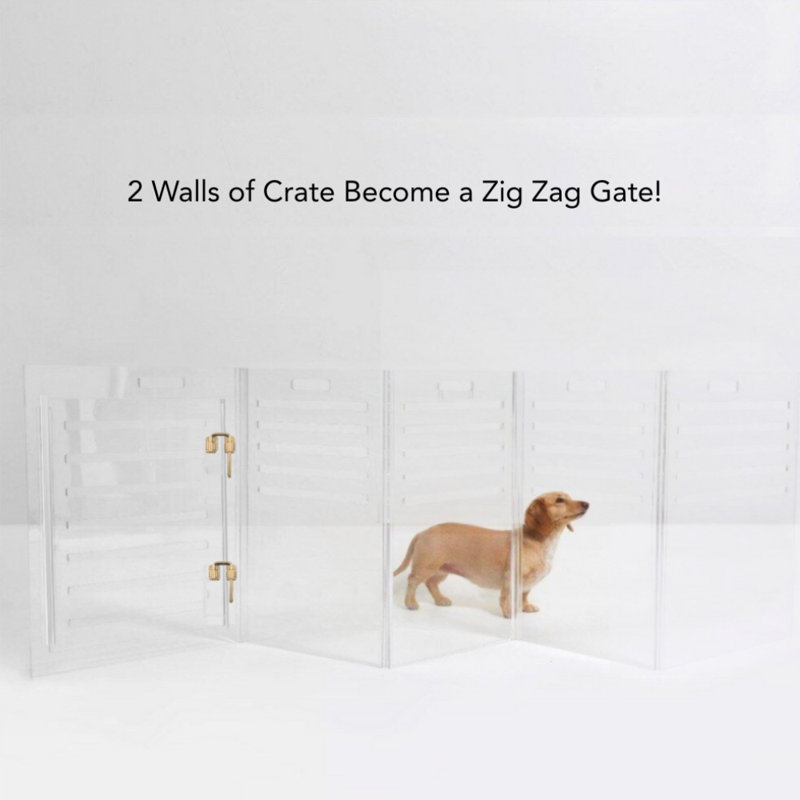 Medium Clear View Pet Crate with Silver Latch, Khaki Cushion, Charcoal