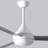 Donaire 52'' Ceiling Fan with LED Lights-315693480-297934723